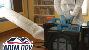 Why Choose Aqua Dry Experts for Mold Removal & Remediation?