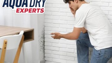 Found Mold? Here’s What to Do (and Don’t!) Until Aqua Dry Experts Arrives!